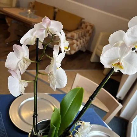 Alisa Apartament Karpacz