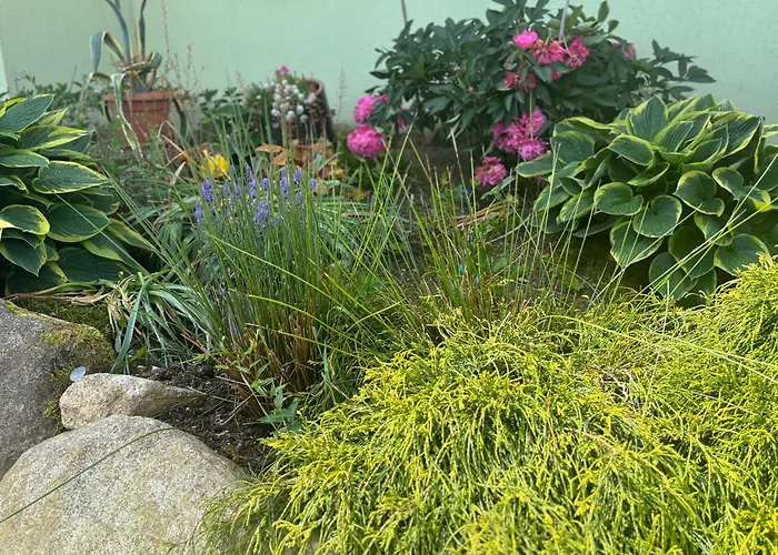 Appartement Alisa Karpacz