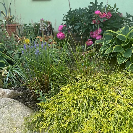 Apartamento Alisa Karpacz